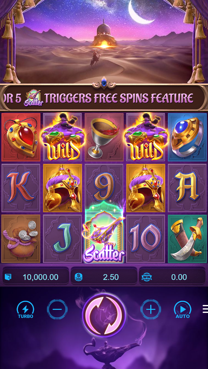 hoki77 Live Casino